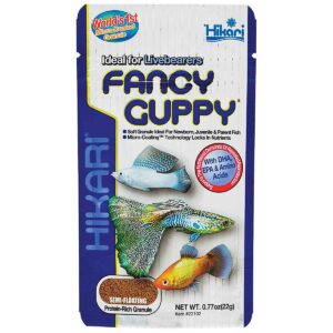Hikari-Fancy-guppy-1