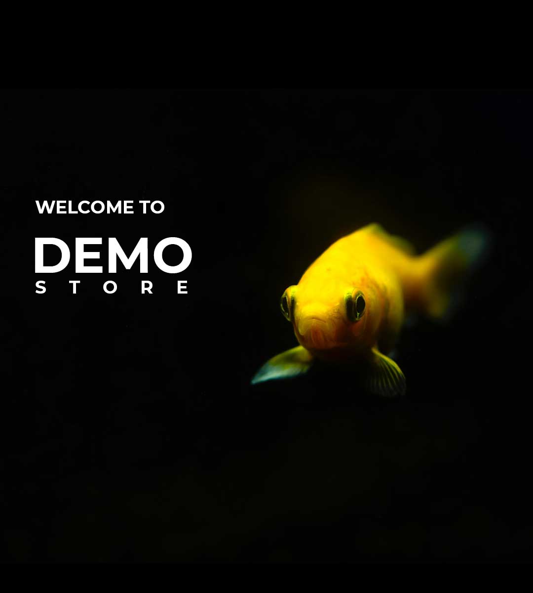 Mobile-homepage-hero-image-welcome-to-demo-store